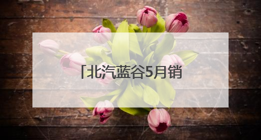 北汽蓝谷5月销量增两倍！持续亏损下“深蹲起跳”战略成效待观察