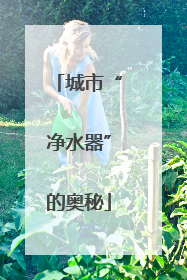 城市“净水器”的奥秘