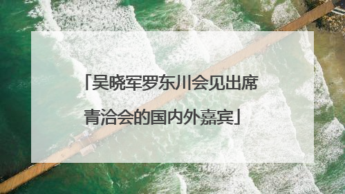 吴晓军罗东川会见出席青洽会的国内外嘉宾