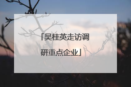 吴桂英走访调研重点企业