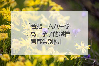 合肥一六八中学：高三学子的别样青春告别礼