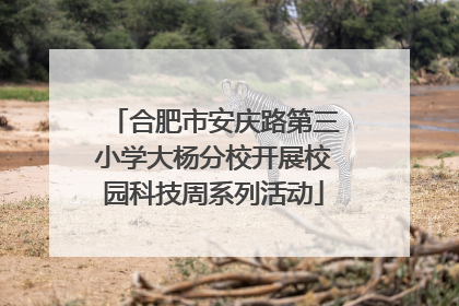 合肥市安庆路第三小学大杨分校开展校园科技周系列活动
