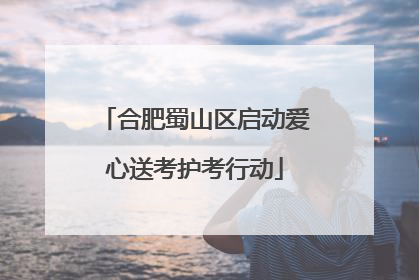合肥蜀山区启动爱心送考护考行动