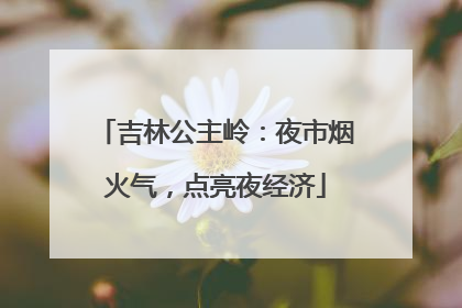 吉林公主岭：夜市烟火气，点亮夜经济