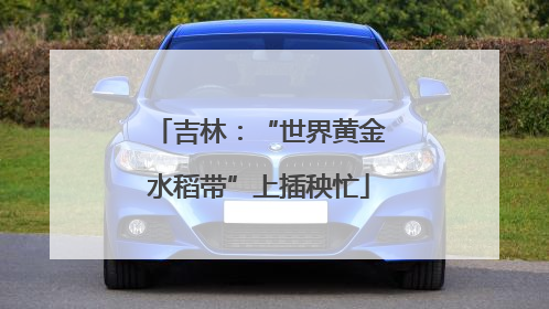 吉林：“世界黄金水稻带”上插秧忙