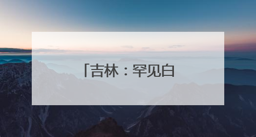 吉林：罕见白鸬鹚连续两年“故地重游”