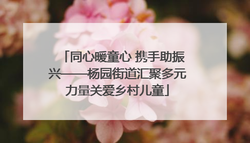 同心暖童心 携手助振兴——杨园街道汇聚多元力量关爱乡村儿童