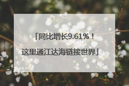 同比增长9.61%！这里通江达海链接世界