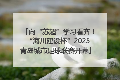向“苏超”学习看齐！“海川建设杯”2025青岛城市足球联赛开幕