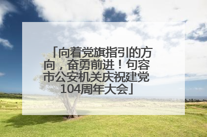 向着党旗指引的方向，奋勇前进！句容市公安机关庆祝建党104周年大会