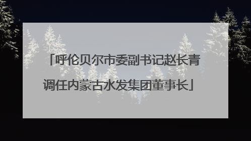 呼伦贝尔市委副书记赵长青调任内蒙古水发集团董事长