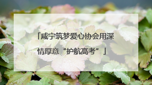 咸宁筑梦爱心协会用深情厚意“护航高考”