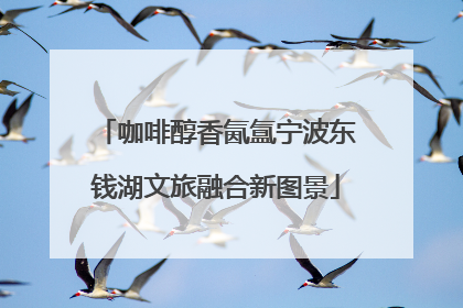 咖啡醇香氤氲宁波东钱湖文旅融合新图景