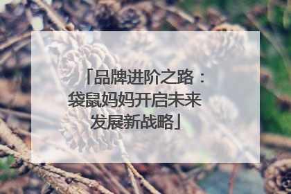 品牌进阶之路：袋鼠妈妈开启未来发展新战略
