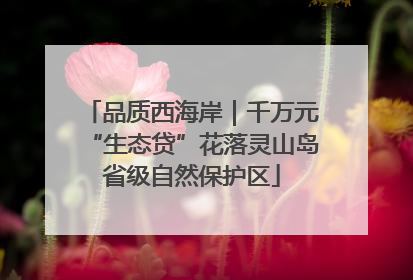 品质西海岸｜千万元“生态贷”花落灵山岛省级自然保护区
