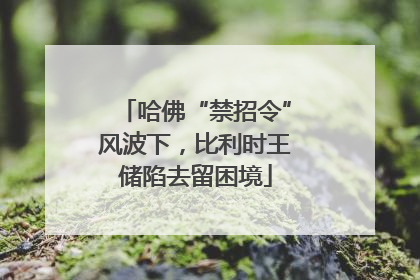 哈佛“禁招令”风波下，比利时王储陷去留困境