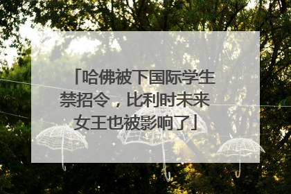 哈佛被下国际学生禁招令，比利时未来女王也被影响了