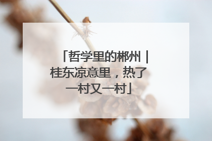 哲学里的郴州｜桂东凉意里，热了一村又一村