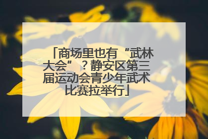 商场里也有“武林大会”？静安区第三届运动会青少年武术比赛拉举行