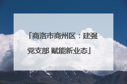 商洛市商州区：建强党支部 赋能新业态