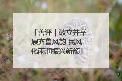 善评｜破立并举展齐鲁风韵 民风化雨润振兴新颜