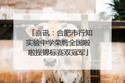 喜讯：合肥市行知实验中学荣膺全国啦啦操锦标赛双冠军