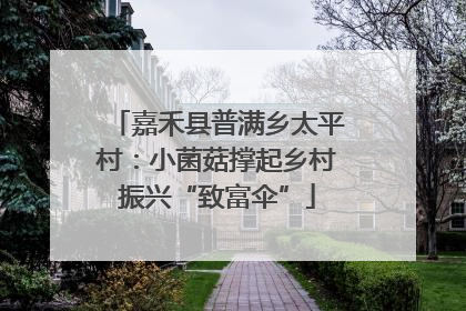 嘉禾县普满乡太平村：小菌菇撑起乡村振兴“致富伞”