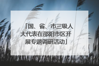 国、省、市三级人大代表在邵阳市区开展专题调研活动