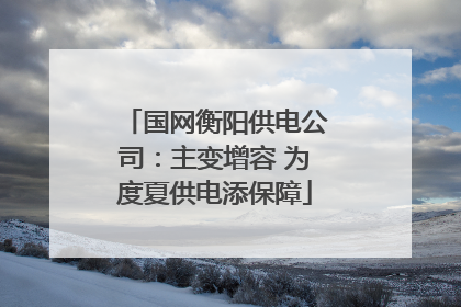 国网衡阳供电公司：主变增容 为度夏供电添保障
