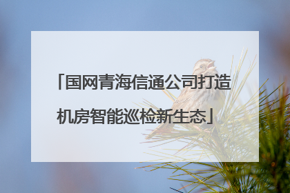 国网青海信通公司打造机房智能巡检新生态