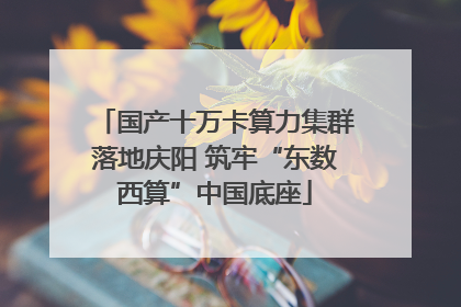 国产十万卡算力集群落地庆阳 筑牢“东数西算”中国底座