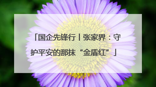 国企先锋行丨张家界：守护平安的那抹“金盾红”
