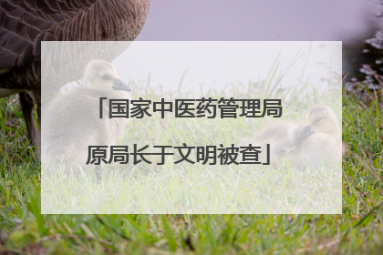 国家中医药管理局原局长于文明被查