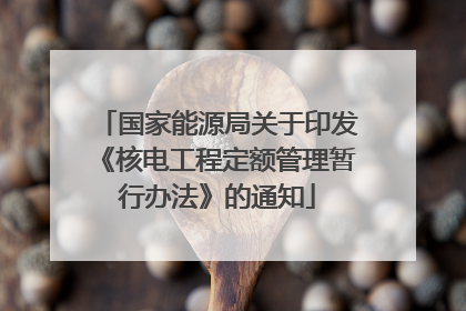 国家能源局关于印发《核电工程定额管理暂行办法》的通知
