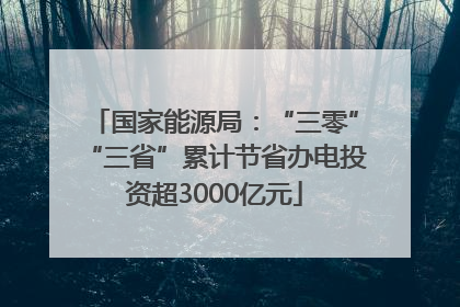 国家能源局：“三零”“三省”累计节省办电投资超3000亿元