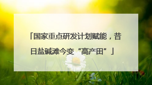 国家重点研发计划赋能，昔日盐碱滩今变“高产田”