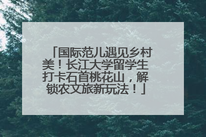 国际范儿遇见乡村美！长江大学留学生打卡石首桃花山，解锁农文旅新玩法！