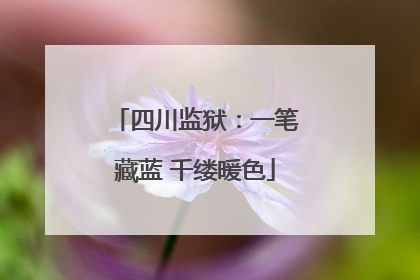 四川监狱：一笔藏蓝 千缕暖色