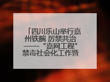 四川乐山举行嘉州铁腕 厉禁共治——“嘉网工程”禁毒社会化工作暨毒品集中销毁启动仪式