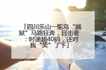 四川乐山一鸵鸟“越狱”马路狂奔，目击者：时速超40码，还对我“笑”了下