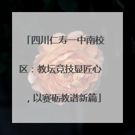 四川仁寿一中南校区：教坛竞技显匠心，以赛砺教谱新篇