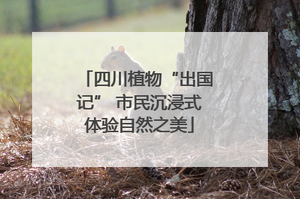 四川植物“出国记” 市民沉浸式体验自然之美