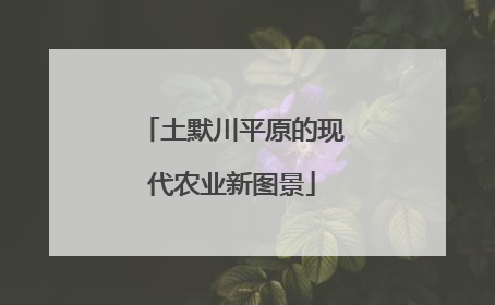 土默川平原的现代农业新图景
