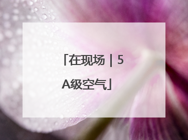 在现场｜5A级空气