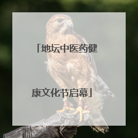 地坛中医药健康文化节启幕
