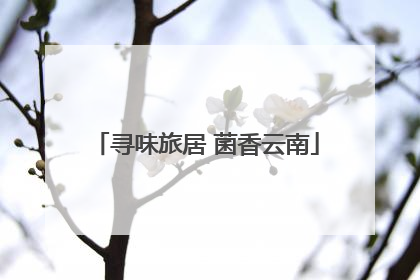 寻味旅居 菌香云南
