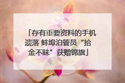 存有重要资料的手机遗落 蚌埠泊管员“拾金不昧”获赠锦旗