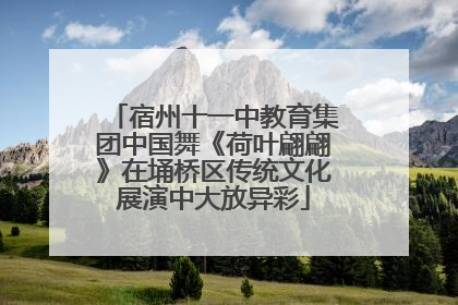 宿州十一中教育集团中国舞《荷叶翩翩》在埇桥区传统文化展演中大放异彩
