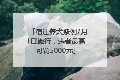 宿迁养犬条例7月1日施行，违者最高可罚5000元