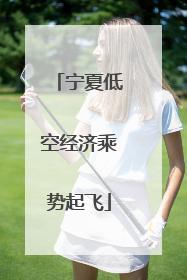 宁夏低空经济乘势起飞